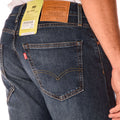 A22---levis---29507-0994DENIM_3_P.JPG