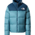 A22---the north face---NF0A3C8DCELESTE.JPG