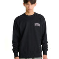 A24---dickies---DK0A4YBGVERDENERO.JPG