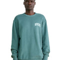 A24---dickies---DK0A4YBGVERDEVERDE.JPG