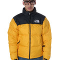 A24---the north face---NF0A3C8DGIALLO.JPG