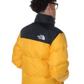 A24---the north face---NF0A3C8DGIALLO_3_P.JPG