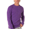 A25---berna---M252037VIOLA_2_P.JPG
