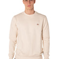 A25---dickies---DK0A4XCEFBURRO.JPG