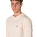 A25---dickies---DK0A4XCEFBURRO_1_P.JPG