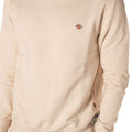 A25---dickies---DK0A4XCEFBURRO_4_P.JPG