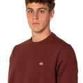 A25---dickies---DK0A4XCEFROSSO_1_P.JPG