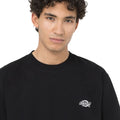 A25---dickies---DK0A4YAINERO_3_P.JPG