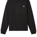 A25---dickies---DK0A4YARNERO_3_P.JPG