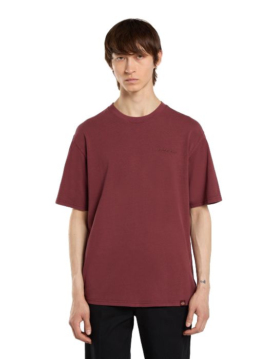 A25---dickies---DK0A866BROSSO.JPG