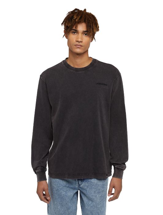 A25---dickies---DK0A866CHNERO.JPG
