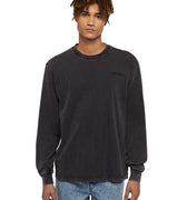 A25---dickies---DK0A866CHNERO.JPG