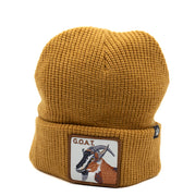 Beanie Goat Unisex 25G.O.A.T.SENAPE GOORIN BROS.