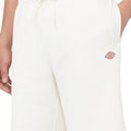 P23---dickies---DK0A4Y83BLK1BIANCO_3_P.JPG