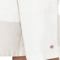 P23---dickies---DK0A4YBEAS01BIANCO_3_P.JPG