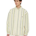 P24---dickies---DK0A4YS2MULTICOLOR.JPG