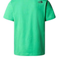 P24---the north face---NF0A87NDEMERALD_1_P.JPG