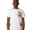 P25---berna---M251261BIANCO.JPG