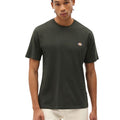 P25---dickies---DK0A4XDBICEBERG GREEN.JPG