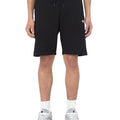 P25---dickies---DK0A4Y83BLK1NERO.JPG