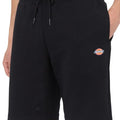 P25---dickies---DK0A4Y83BLK1NERO_3_P.JPG