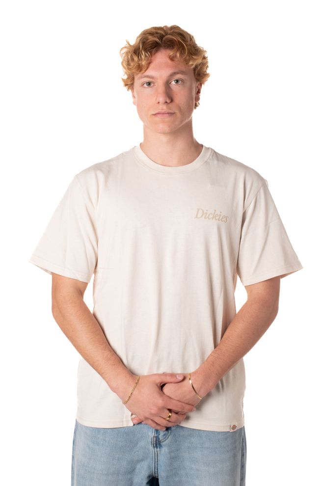P25---dickies---DK0A4Z92BEIGE.JPG