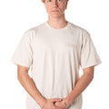 P25---dickies---DK0A4Z92BEIGE.JPG