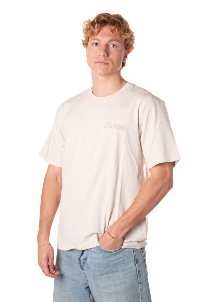 P25---dickies---DK0A4Z92BEIGE_1_P.JPG