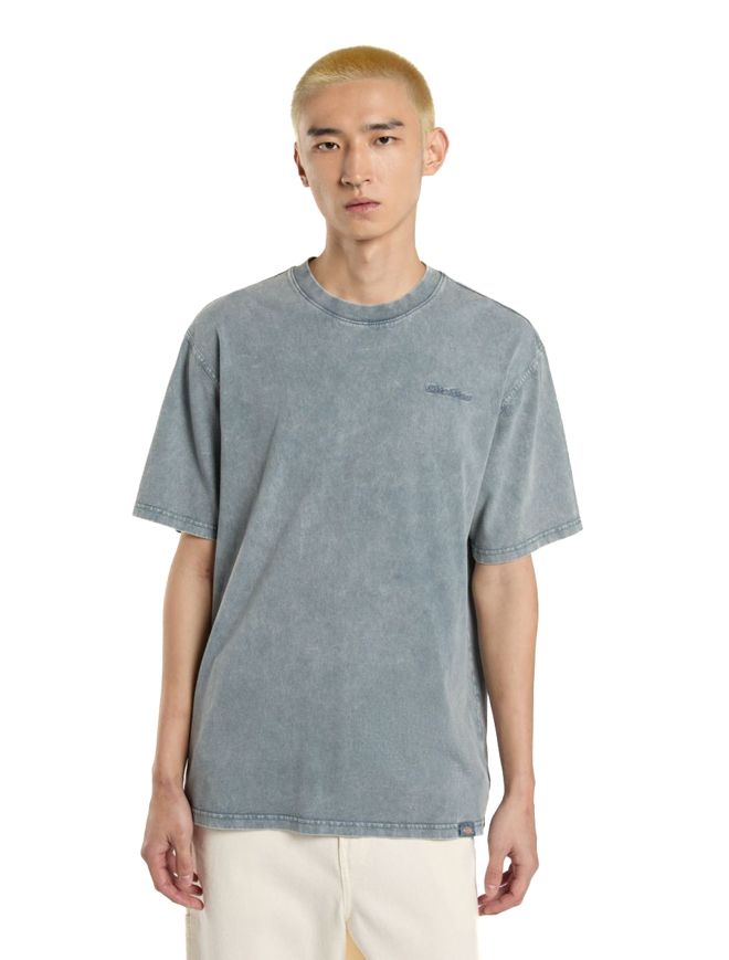 P25---dickies---DK0A866BAVIO.JPG