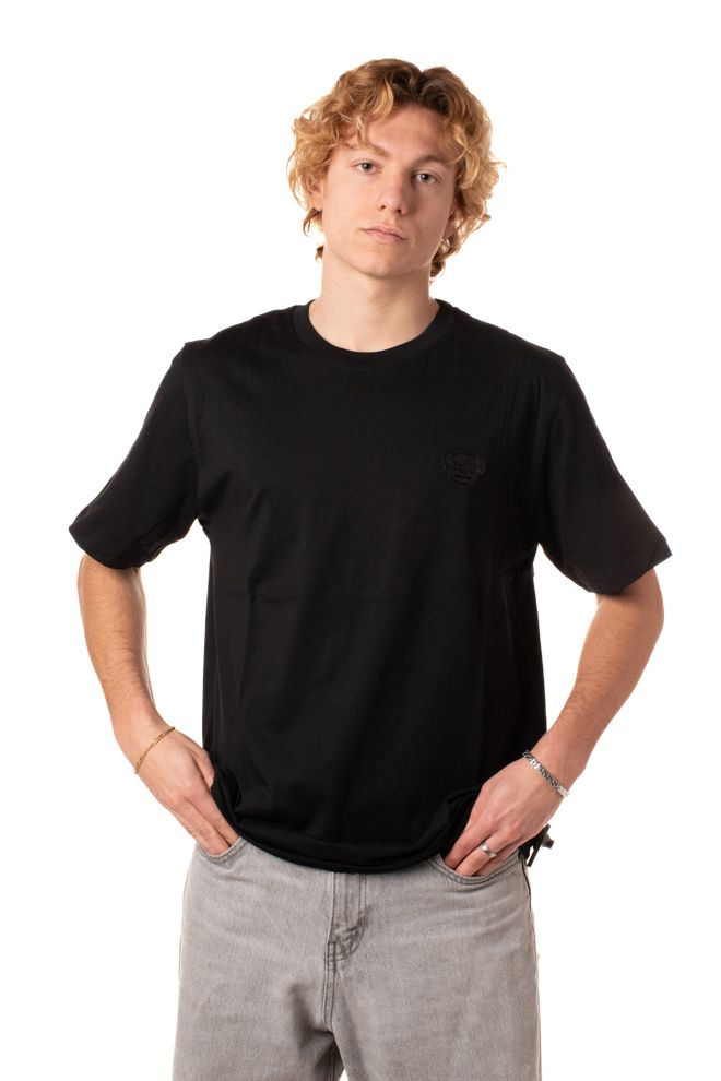 P25---disclaimer---54848NERO.JPG