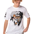 P25---disclaimer---54878BIANCO_1_P.JPG