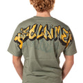 P25---disclaimer---54896VERDE.JPG