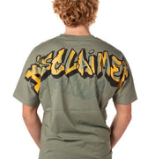 P25---disclaimer---54896VERDE.JPG