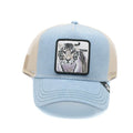 P25---goorin bros---TIGERCELESTE.JPG