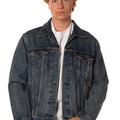 P25---levis---72334-0573BLU.JPG