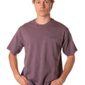 P25---levis---A0637VIOLA.JPG