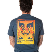 P25---obey---165264048BLU.JPG