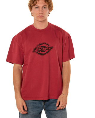 Tshirt Plainville Uomo 