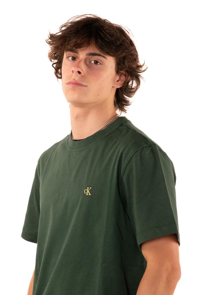 Tshirt Logo Uomo LV04RC275GLVERDE CALVIN KLEIN