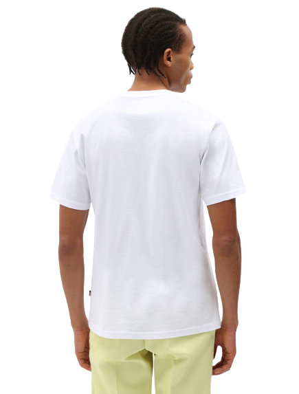 T-shirt Mapleton Uomo Bianco DK0A4XDBBIANCO DICKIES