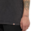 Tshirt Plentywood Uomo DK0A866BNERO DICKIES