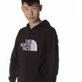 The North Face Felpa Drew Peak Uomo NF0A4T1EDBLU THE NORTH FACE