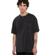 Tshirt Plentywood Uomo DK0A866BNERO DICKIES