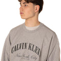 Felpa Collegiate Uomo 