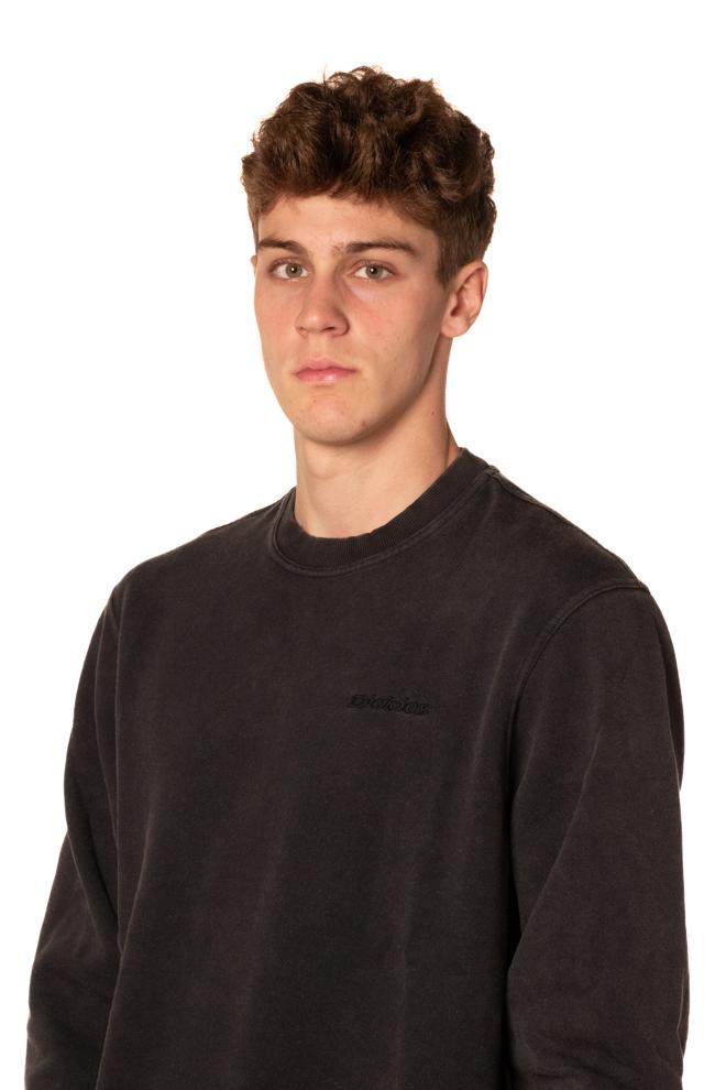 Felpa Plentywood Uomo DK0A864HGNERO DICKIES