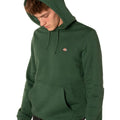 Felpa Oakport Uomo DK0A4XCDVERDE DICKIES