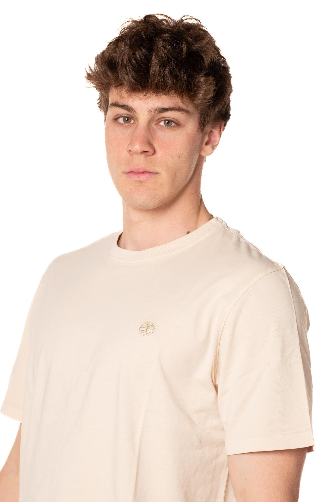 Tshirt Authentic Uomo 