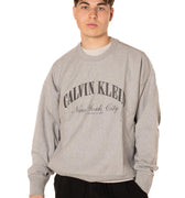 Felpa Collegiate Uomo 