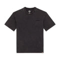 Tshirt Plentywood Uomo DK0A866BNERO DICKIES