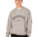 Felpa Collegiate Uomo 
